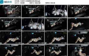 【半岛束艺】车身物理稳定系统~海语