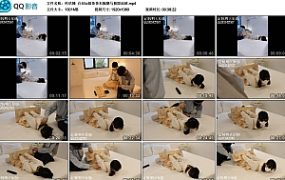 咕咕精 白丝lo娘茶茶木枷驷马极限地狱