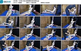 【飞天原创】柔仙儿股绳勒嘴五块砖老虎凳