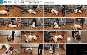 【一绳所爱】大学女神陈依依玩K9（下集）