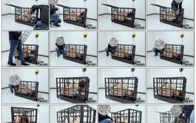 【冥想原创】夕夕完美复刻house of gord兔笼第三期