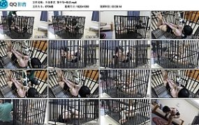 【半岛束艺】笼中吊~海语