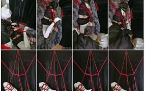 芝士的郊狼驷马~