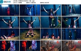 【胜景影视】红岩英烈 2（下集）