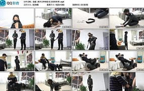 【逍遥】高冷女神到胶衣女奴的转变