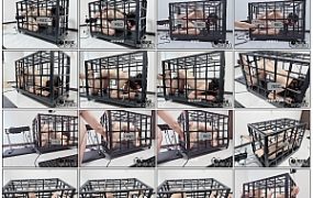 【缚心室】80多斤女学生的兔笼体验，超长时长，三种不同姿势玩法，自动挡自己动，全…