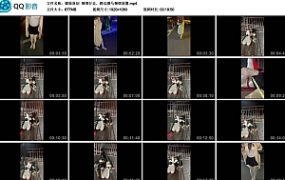 【媚娘原创】捆绑行走，路边驷马捆绑放置