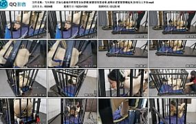 【飞天原创】艺仙儿偷偷在铁笼里自玩禁锢,被蒙面怪客迷晕,迷晕后被紧紧禁锢起来,好戏马上开始