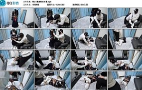 【HUI】潼潼极限放置