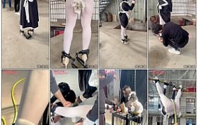 【媚娘原创】被囚禁惩罚的女仆