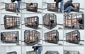 【冥想原创】落叶的兔笼初体验