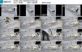 【咕咕精】小草神纳西妲的充气床拘束