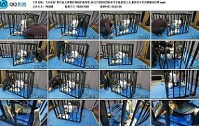 【飞天原创】把月仙儿禁锢在特制的狗笼里,经过六道程续G栓在牢牢地紧固上去,最终经不住折磨骚水狂喷