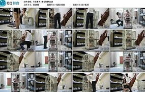 【半岛束艺】笼女雪碧