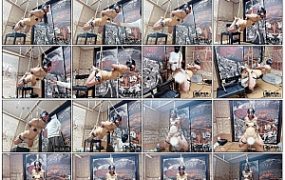 【缚心室】大胸小美女的吊缚折磨二！又是两种姿势的吊缚，郊狼直接拉满到100，吸乳+…