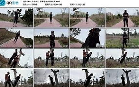 【半岛束艺】 枯藤老树波鸦~波雅